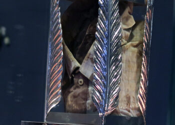 La reliquia del beato Rosario Livatino al “Perdono del Gargano”