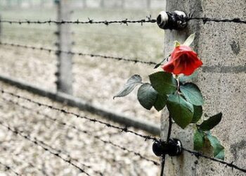 IL GIORNO DELLA MEMORIA