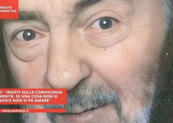 Padre Pio: “Insisti sulla conoscenza della verità. Se una cosa non si conosce non si può amare”