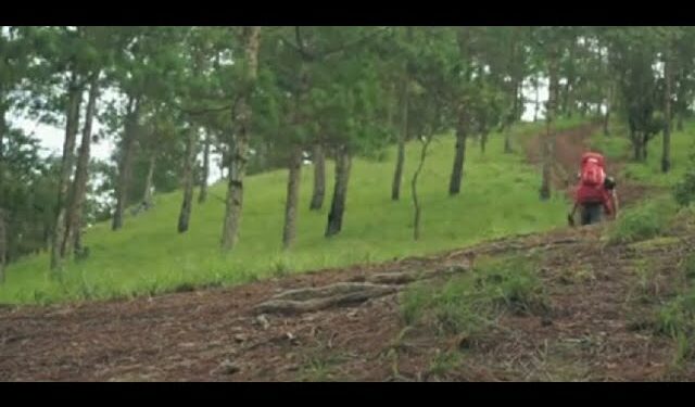 Montagna: i consigli del Centro alpino Italiano