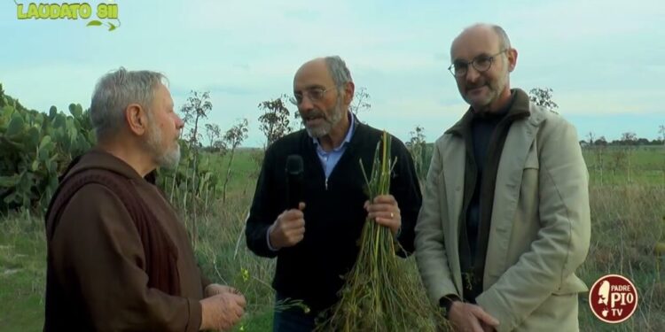 Condire la muscisca di pecora con semi di finocchio