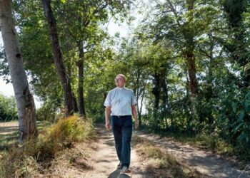 Generare un Mondo Aperto