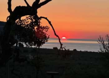 DALL’IO AL NOI, DALLA DEMAGOGIA AD UNA VERA DEMOCRAZIA