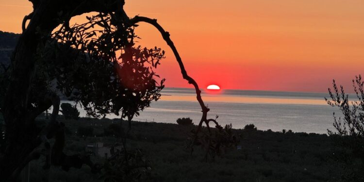 DALL’IO AL NOI, DALLA DEMAGOGIA AD UNA VERA DEMOCRAZIA