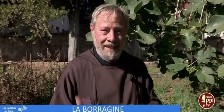 LA BORRAGINE