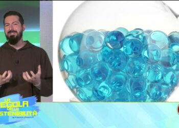 La responsabilità dell’uomo verso il creato