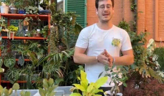 Mi prendo cura delle piante di chi è in vacanza