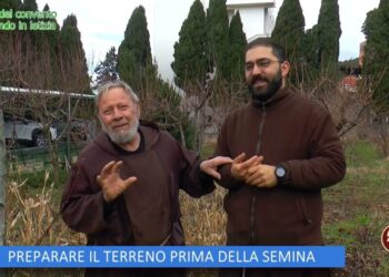 Preparare il terreno per la semina